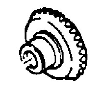 GEAR