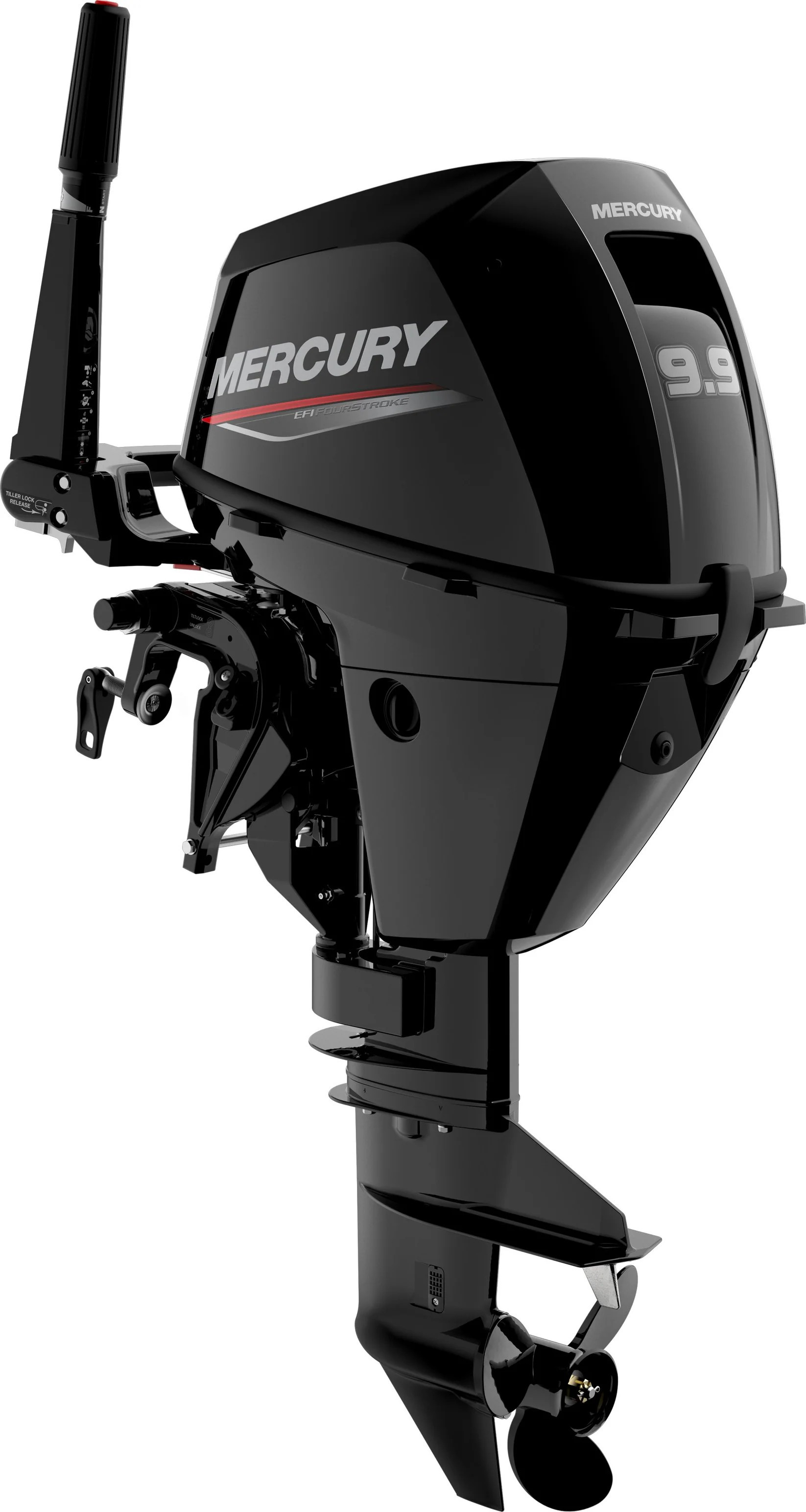 Лодочный мотор Mercury F9.9 MH EFI (209CC)
