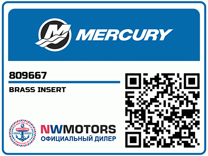 BRASS INSERT Аватар