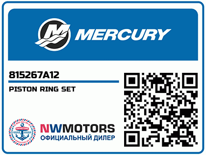 PISTON RING SET