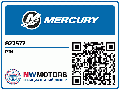 PIN