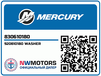 920610180 WASHER