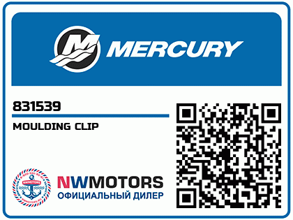 MOULDING CLIP