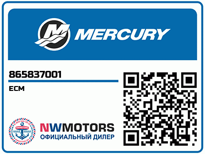 ECM Аватар