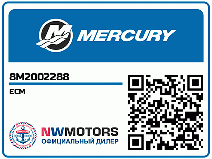 ECM Аватар