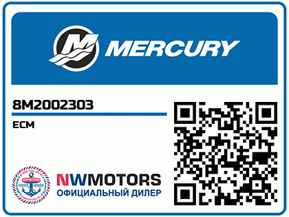 ECM Аватар