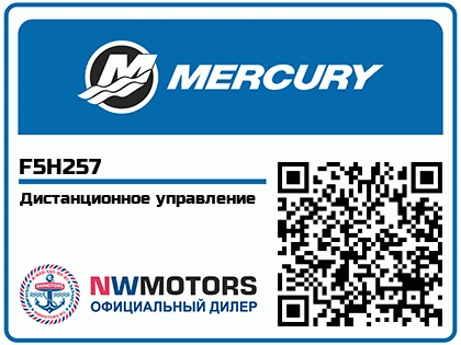 Дистанционное управление Аватар