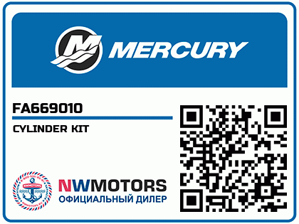 CYLINDER KIT