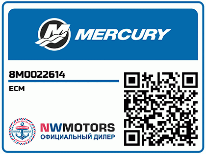 ECM Аватар