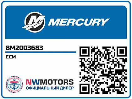 ECM Аватар