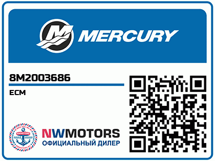 ECM Аватар