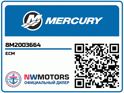 ECM Аватар