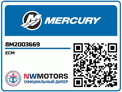 ECM Аватар