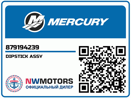 DIPSTICK ASSY