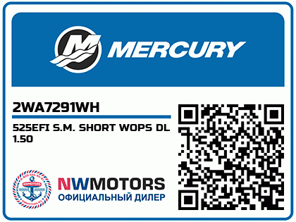 525EFI S.M. SHORT WOPS DL 1.50 Аватар