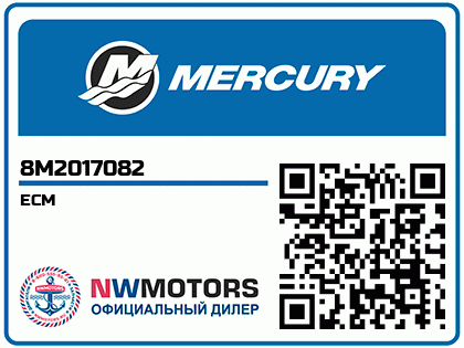 ECM Аватар