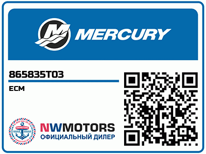 ECM Аватар