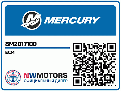 ECM Аватар
