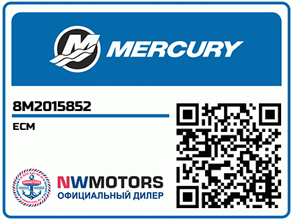 ECM Аватар