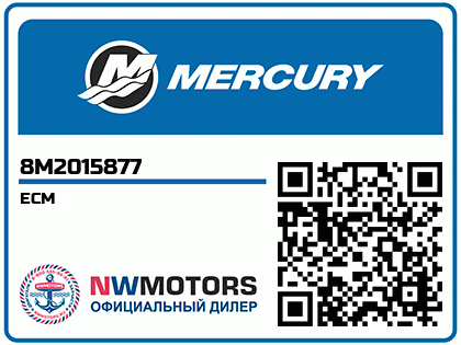 ECM Аватар