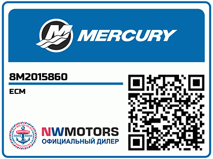 ECM Аватар
