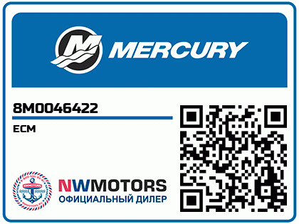 ECM Аватар