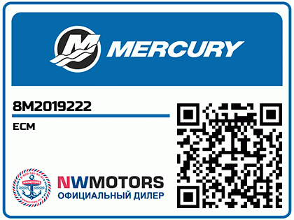 ECM Аватар
