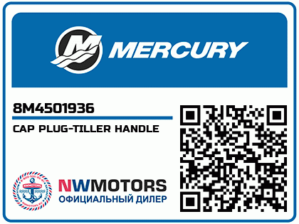 CAP PLUG-TILLER HANDLE