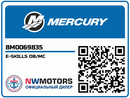 E-SKILLS OB/MC Аватар