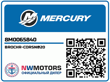 BROCHR-CORSN@20 Аватар