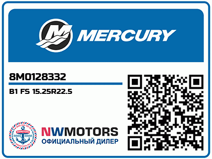 B1 FS 15.25R22.5 Аватар