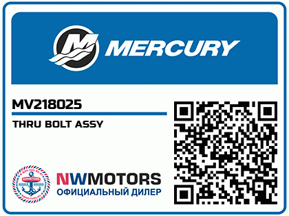 THRU BOLT ASSY