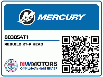 REBUILD KT-P HEAD Аватар
