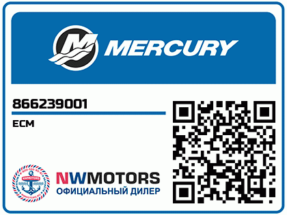 ECM Аватар