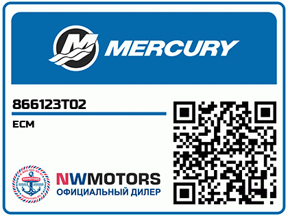 ECM Аватар