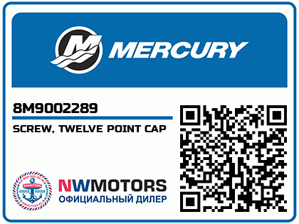SCREW, TWELVE POINT CAP
