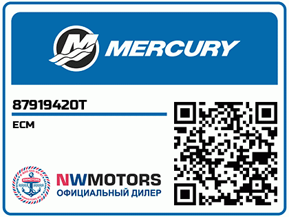 ECM Аватар