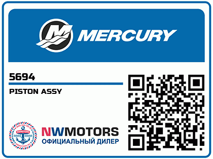 PISTON ASSY