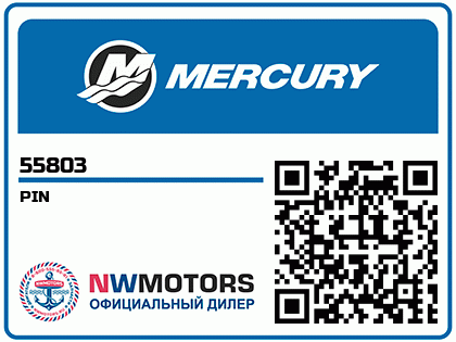 PIN