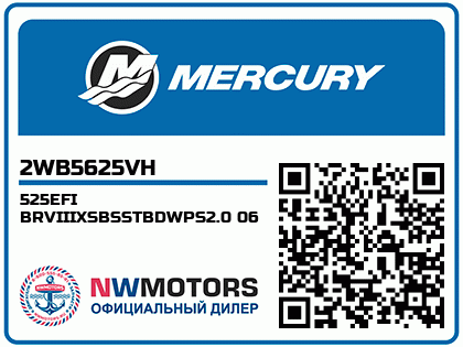 525EFI BRVIIIXSBSSTBDWPS2.0 06