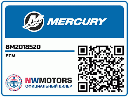 ECM Аватар