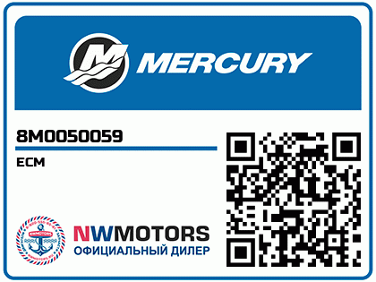 ECM Аватар