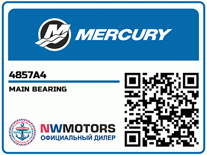 MAIN BEARING