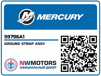 GROUND STRAP ASSY