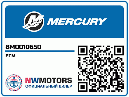 ECM Аватар
