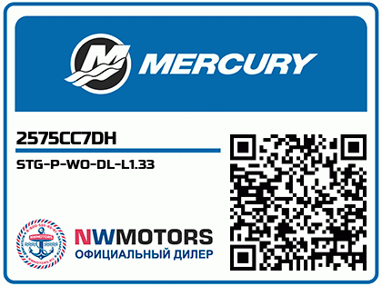 STG-P-WO-DL-L1.33 Аватар