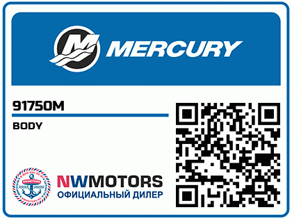 BODY