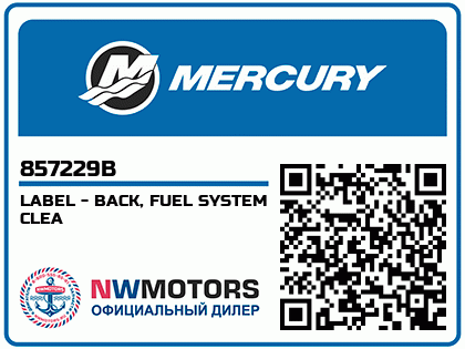 LABEL - BACK, FUEL SYSTEM CLEA