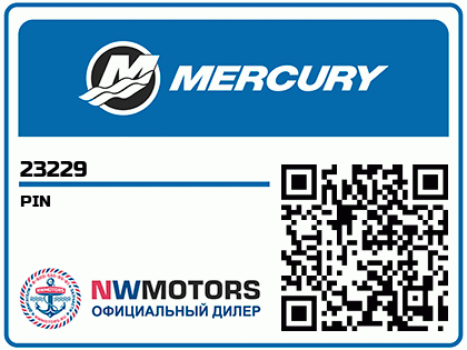 PIN
