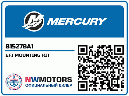 EFI MOUNTING KIT